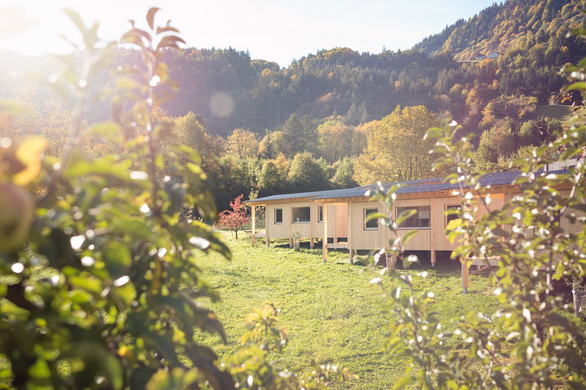 Gallery Bild